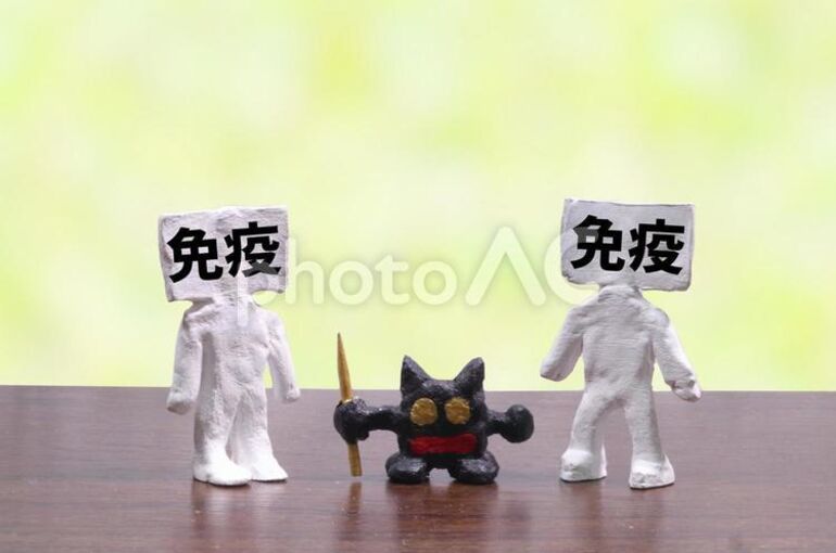 ばい菌と免疫